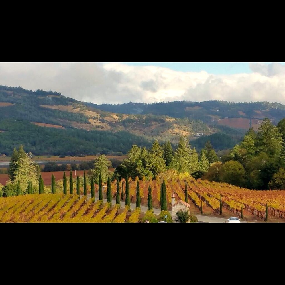 Meet your Posher, Elaine